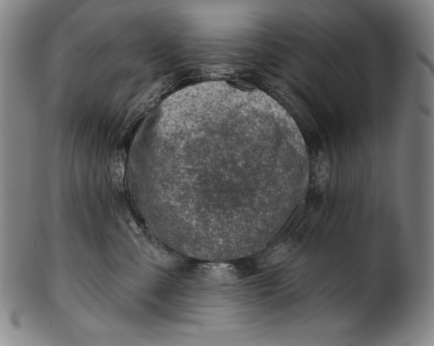 X0000099970427200806061634