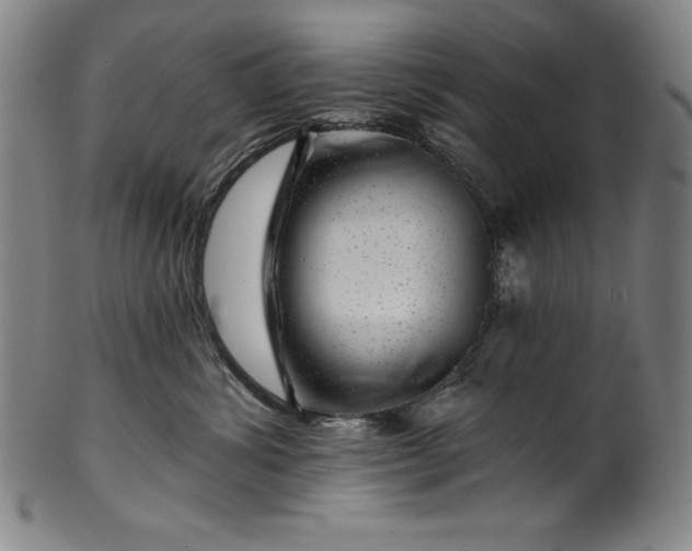 X0000099970428200806061634