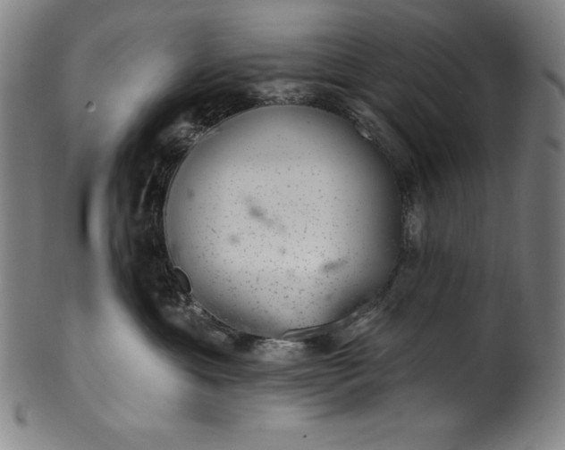 X0000099970429200806061634