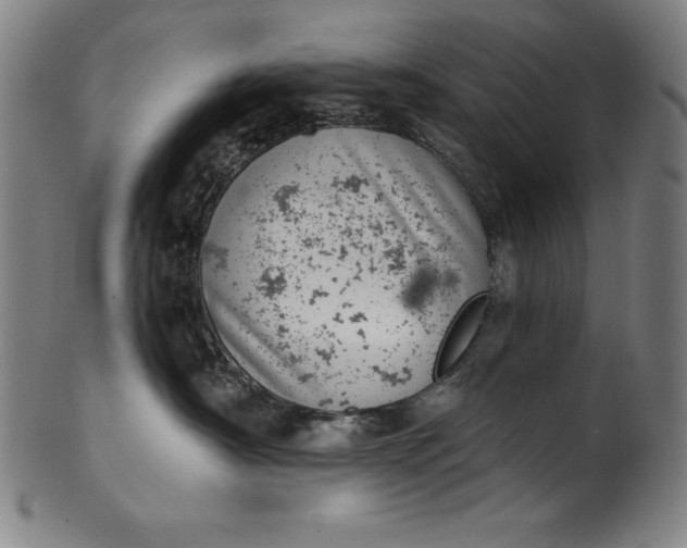 X0000099970430200806061634