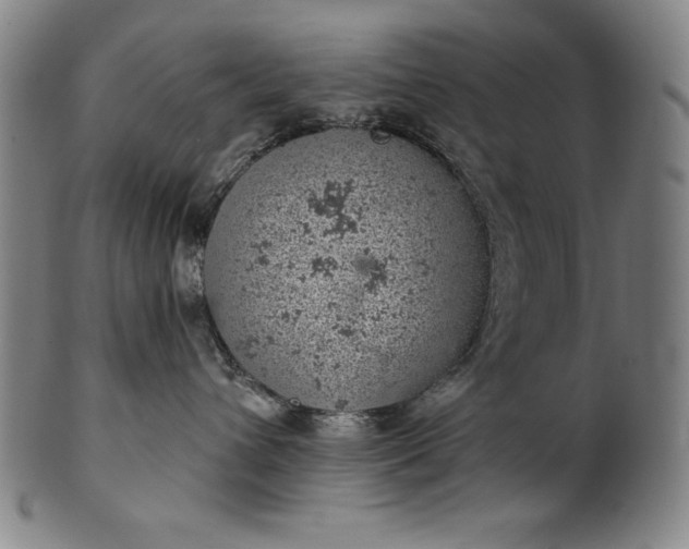 X0000099970432200806061634