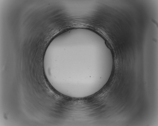 X0000099970433200806061633