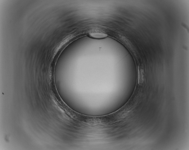 X0000099970435200806061633