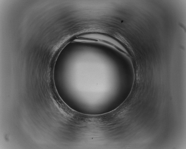 X0000099970436200806061633