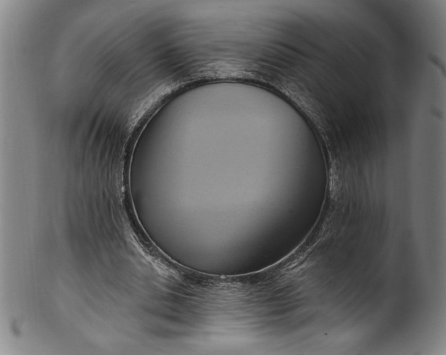 X0000099970438200806061633