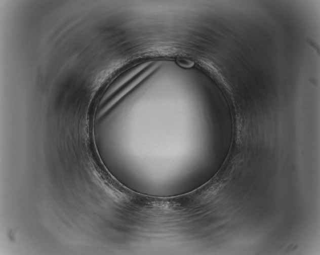 X0000099970439200806061633