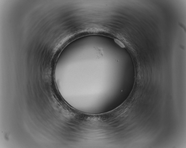 X0000099970440200806061633