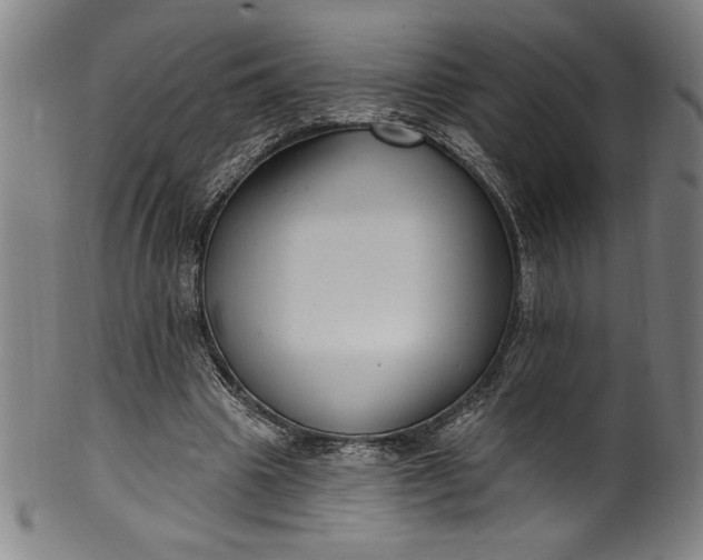 X0000099970441200806061633