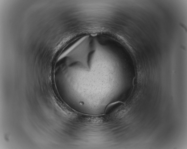 X0000099970443200806061634