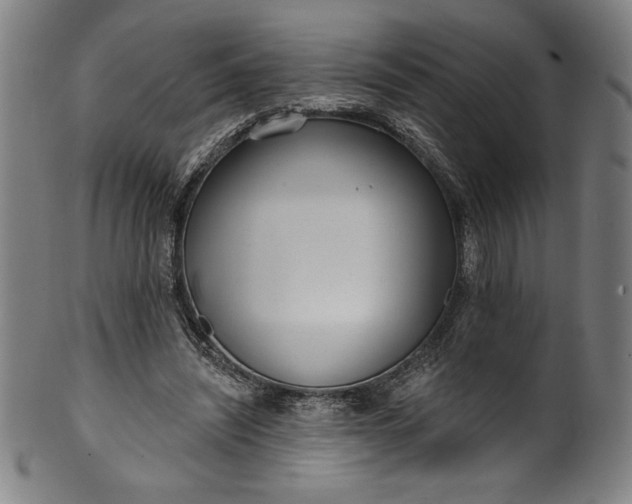 X0000099970444200806061634