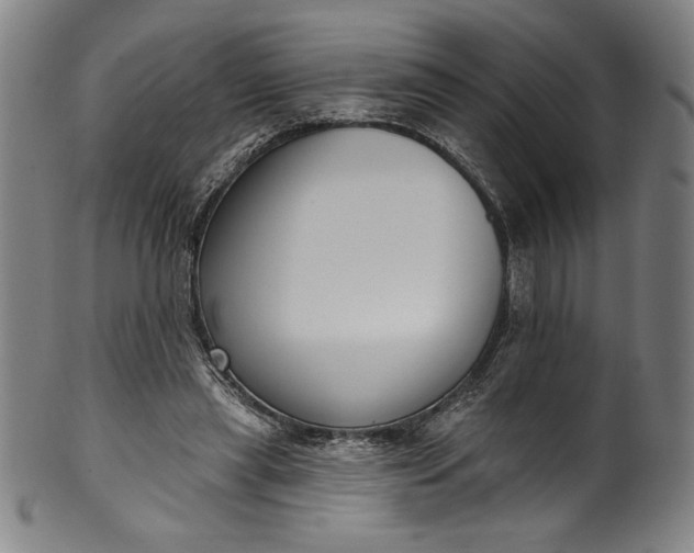 X0000099970445200806061634