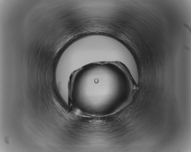 X0000099970448200806061634