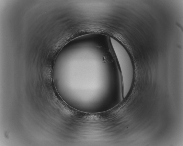 X0000099970449200806061634