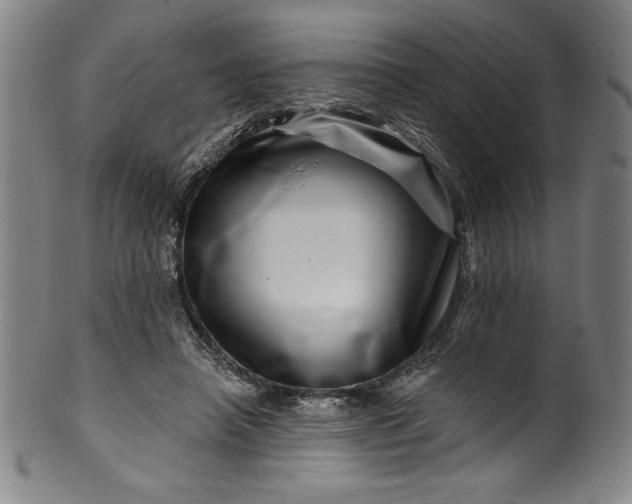 X0000099970450200806061634