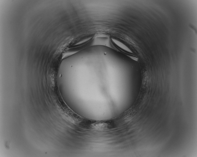 X0000099970452200806061634