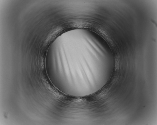 X0000099970453200806061634