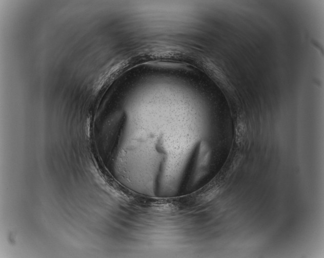 X0000099970454200806061634