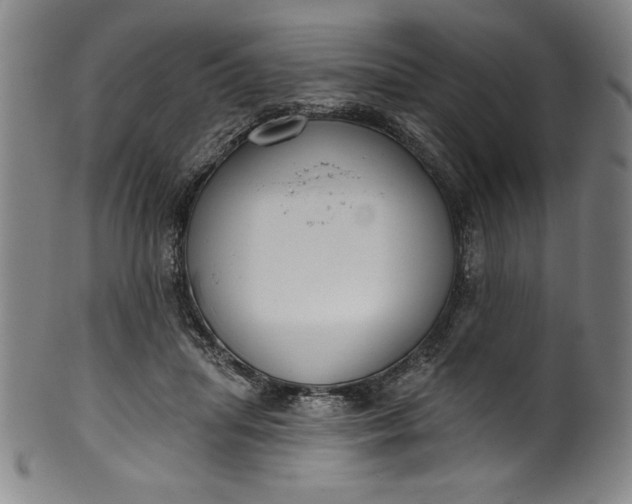 X0000099970455200806061634