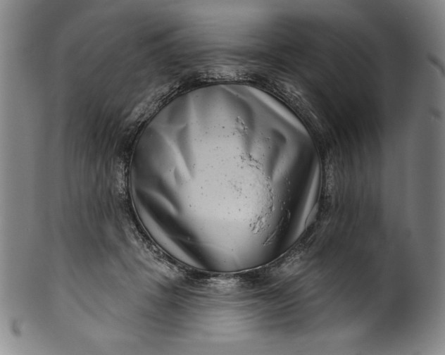 X0000099970457200806061634