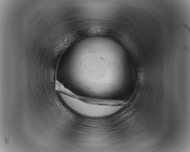 X0000099970458200806061634