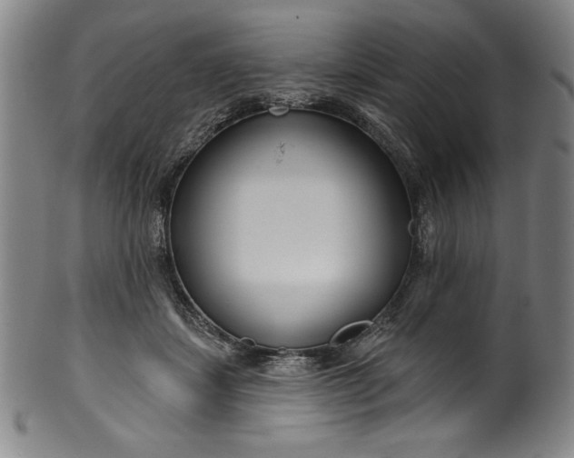 X0000099970459200806061634