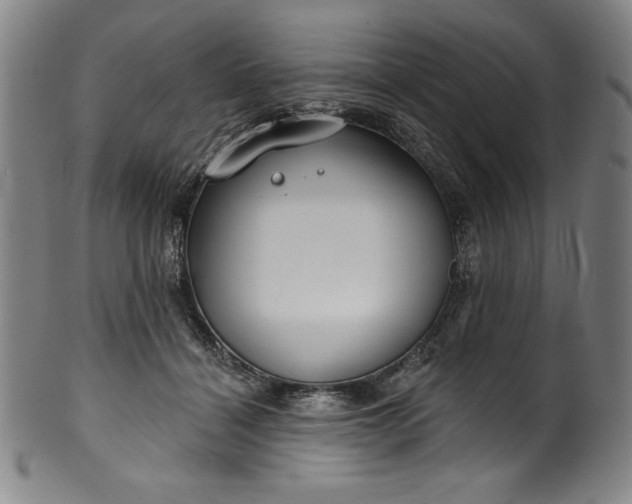 X0000099970460200806061634