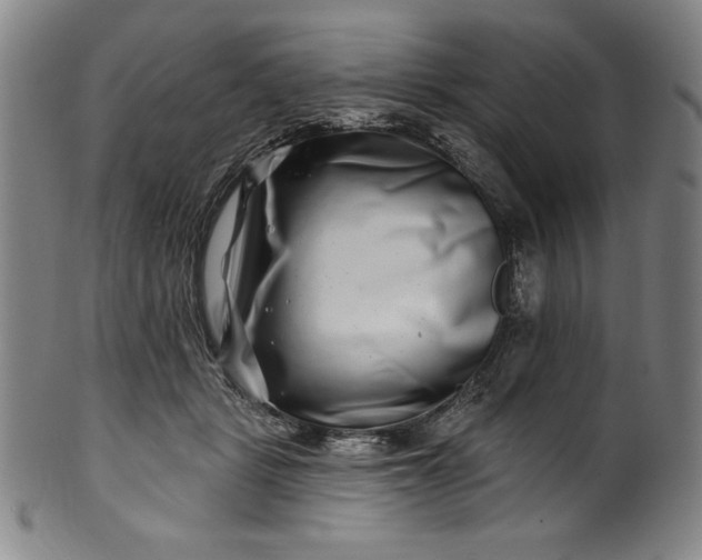 X0000099970461200806061634