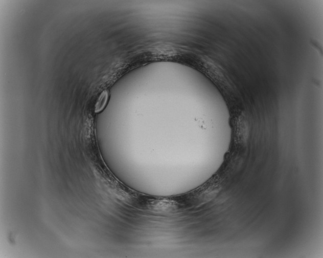 X0000099970463200806061634