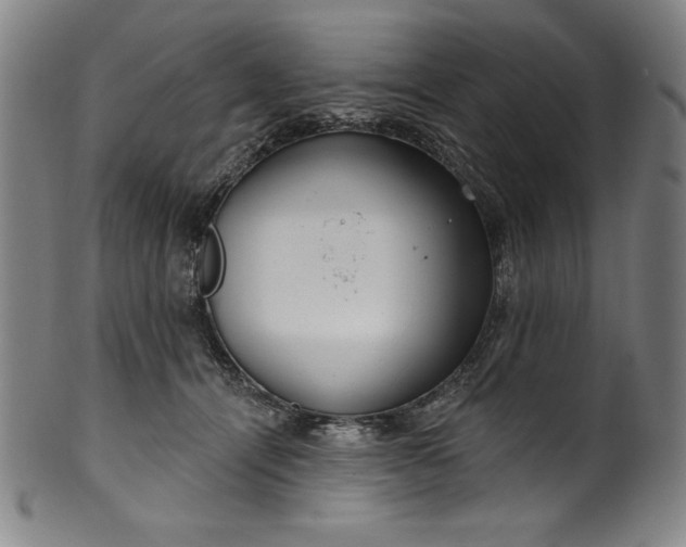 X0000099970464200806061634