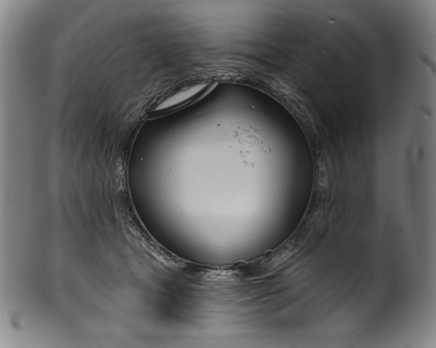 X0000099970465200806061634