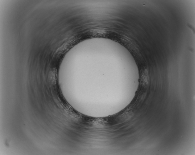 X0000099970468200806061634