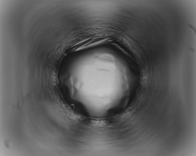 X0000099970469200806061634