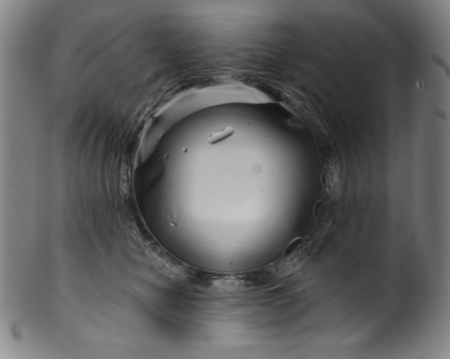 X0000099970470200806061634