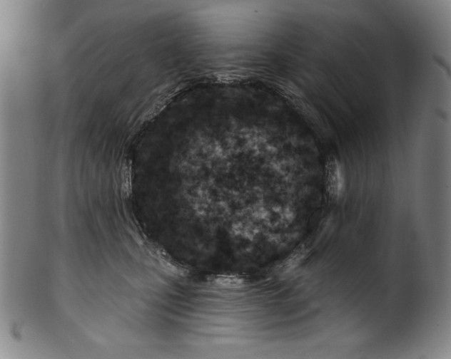 X0000099970471200806061634