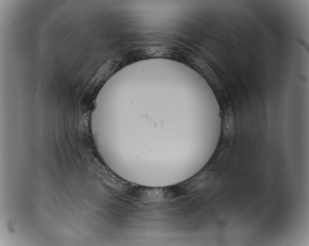 X0000099970473200806061634