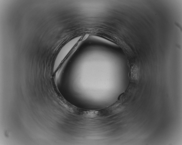 X0000099970474200806061634