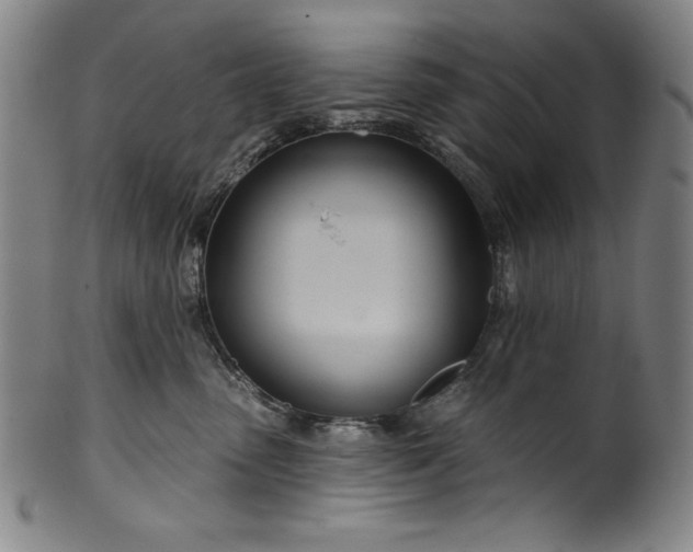 X0000099970475200806061634