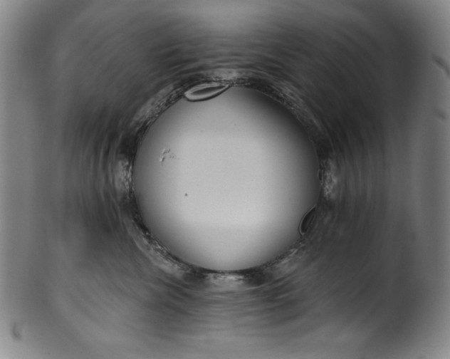 X0000099970476200806061634