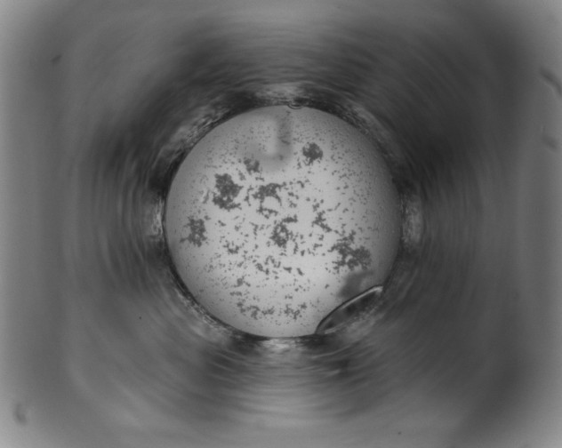 X0000099970477200806061634