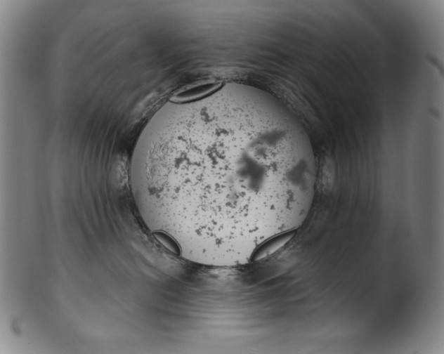 X0000099970478200806061634