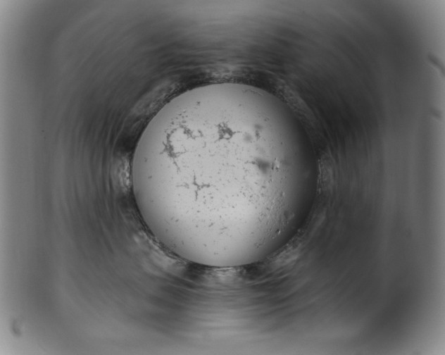 X0000099970479200806061634