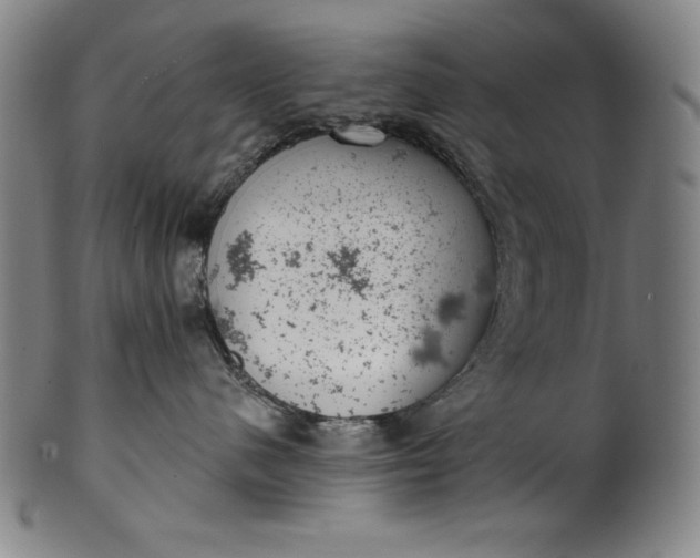 X0000099970480200806061634