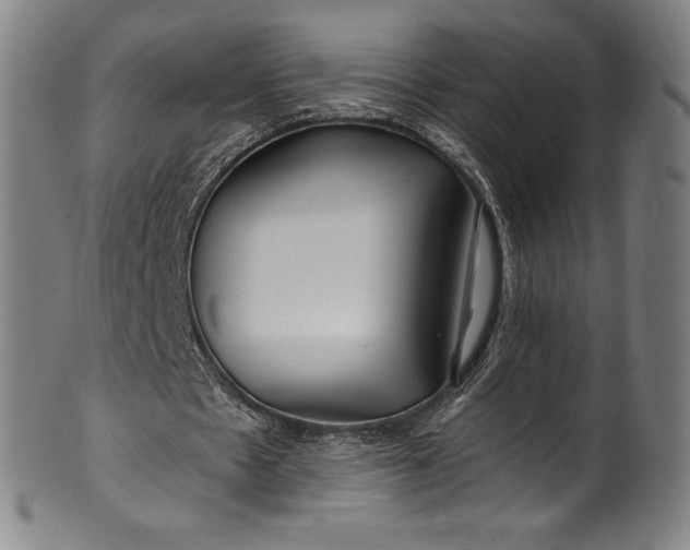 X0000099970481200806061633