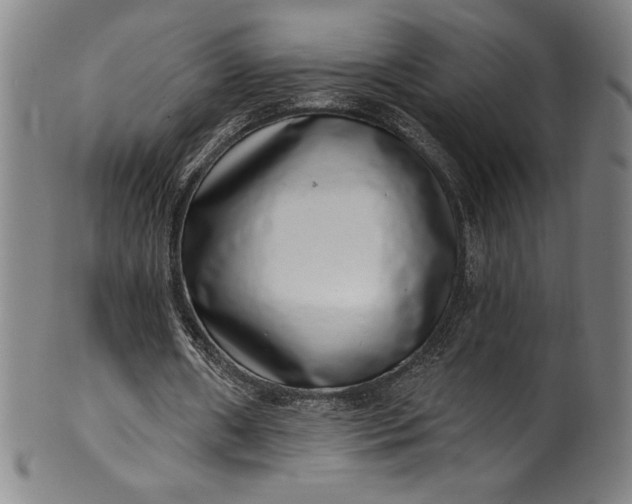 X0000099970482200806061633