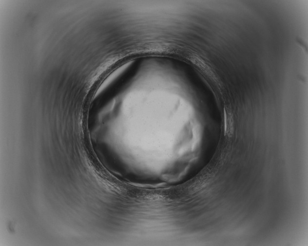 X0000099970483200806061633