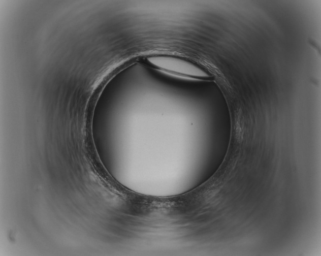 X0000099970484200806061633