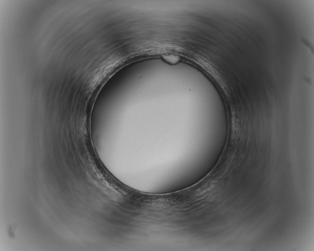 X0000099970485200806061633