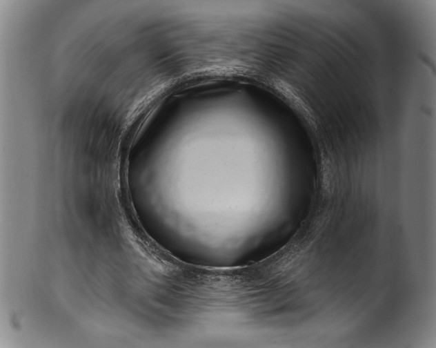 X0000099970486200806061633