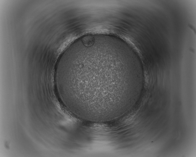 X0000099970487200806061633