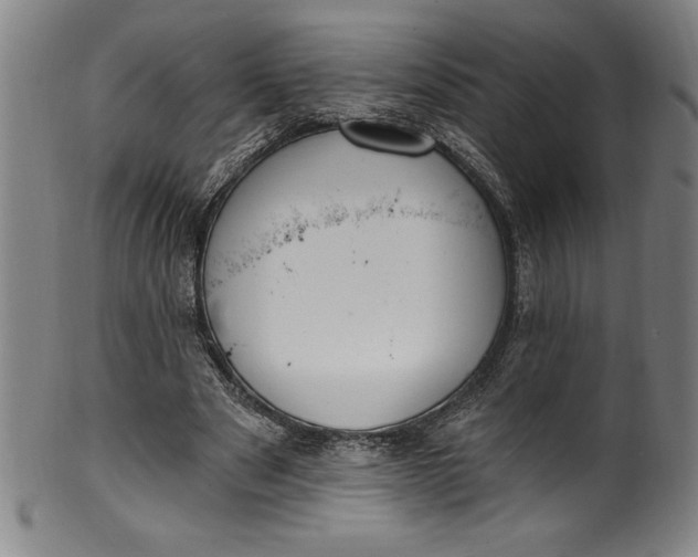 X0000099970489200806061633